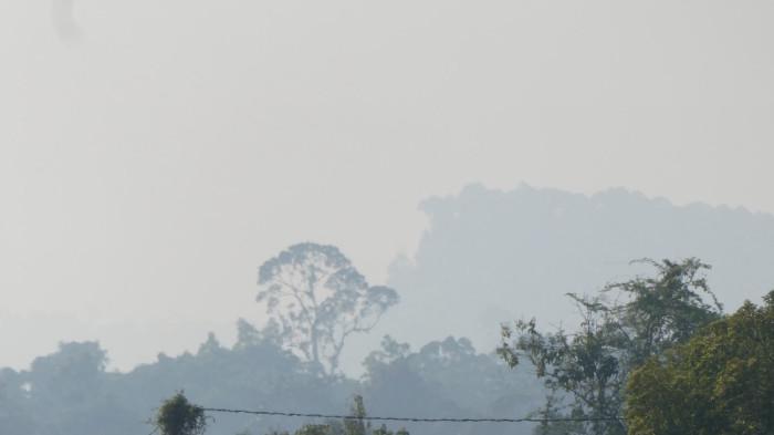 KONDISI UDARA - Suasana kabut asap yang menyelimuti wilayah Malinau sejak beberapa hari terakhir. Fenomena asap lintas wilayah ini memicu penurunan kualitas udara visual dengan jarak pandang terbatas antara 2 hingga 6 kilometer.