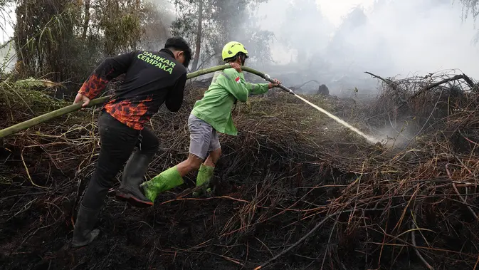 Petugas pemadam kebakaran menyemprotkan air untuk memadamkan api yang melalap lahan gambut di Kubu Raya, Kalimantan Barat, Indonesia, Selasa, 11 Agustus 2026. (Foto AP/Stefanus Taman)