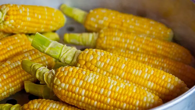 Ilustrasi jagung (Sumber: PIxabay)