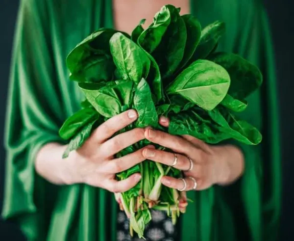 leafy-vegetable