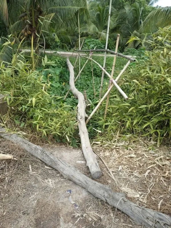 The canal crossing was temporarily built by people using tree trunks and bamboo in My Thanh hamlet. Photo: Nguyen Truc Phuong