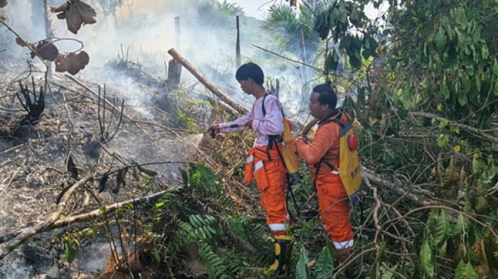 Ilustrasi saat kebakaran hutan dan lahan (karhutla) yang terjadi di Nunukan Selatan