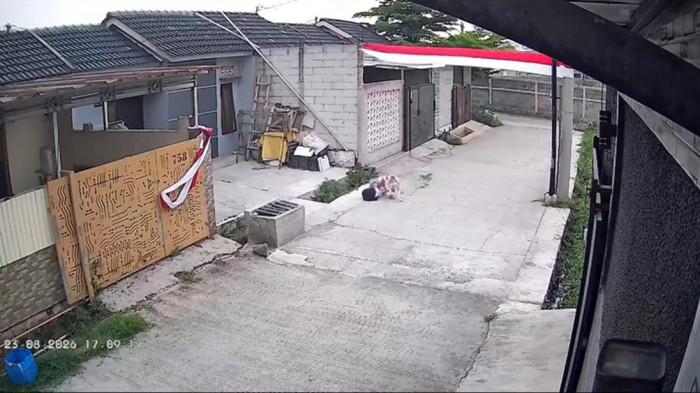 PITBULL - Detik-detik bocah SD berusia 9 tahun menjadi korban serangan anjing jenis Pitbull di Komplek Grand Cendana Residence, Desa Wargaluyu, Kecamatan Arjasari, Kabupaten Bandung, Jawa Barat, Minggu 23 Agustus 2026 sore.