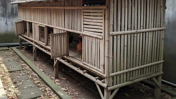 Desain Kandang Ayam Petelur dari Bambu Bekas. (AI Generated)