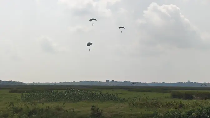 Tim Alfa TNI Diterjunkan Buru Bara Tersembunyi di TN Tim Alfa dari Mabes TNI diterjunkan ke sejumlah titik yang sulit dijangkau untuk memburu bara dan titik panas di TNWK, Lampung Timur, Lampung. (Liputan6.com/Ardi Munthe).Kambas