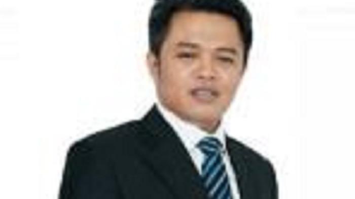 profile tribunners