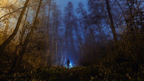 Person using blue light flashlight in foggy forest.