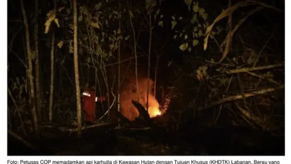 Tangkapan layar kebakaran ganggu habitat orang utan di Berau.
