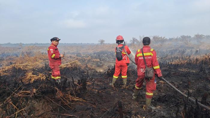 KARHUTLA TANJABTIM - Kebakaran hutan dan lahan (karhutla) di Desa Rawasari, Kecamatan Berbak, Kabupaten Tanjung Jabung Timur, Jambi, terjadi di kawasan gambut dalam. Api di permukaan telah padam, tapi bara di bawah tanah masih berasap dan ada apinya, Rabu (26/8/2026). (Dokumentasi Manggala Agni)