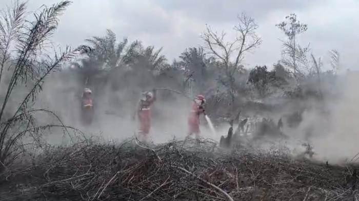 Tim Manggala Agni masih melakukan pemadaman karhutla di Desa Pande Sejahtera, Tanjabtim