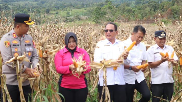 Panen Jagung Polres Pakpak Bharat Bray