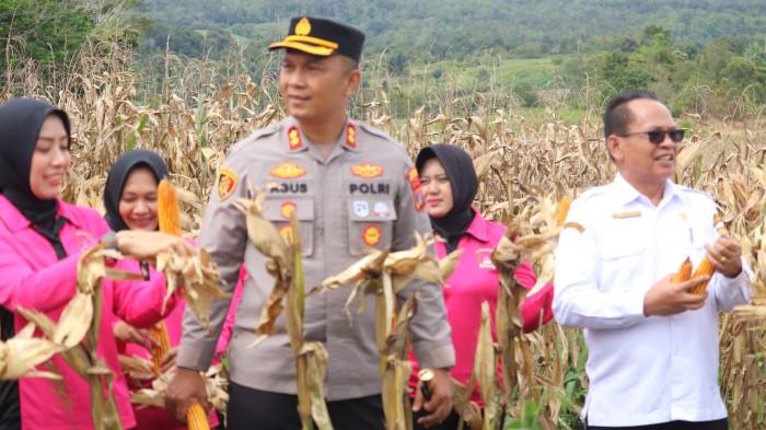 Panen Jagung Polres Pakpak Terbaru 2