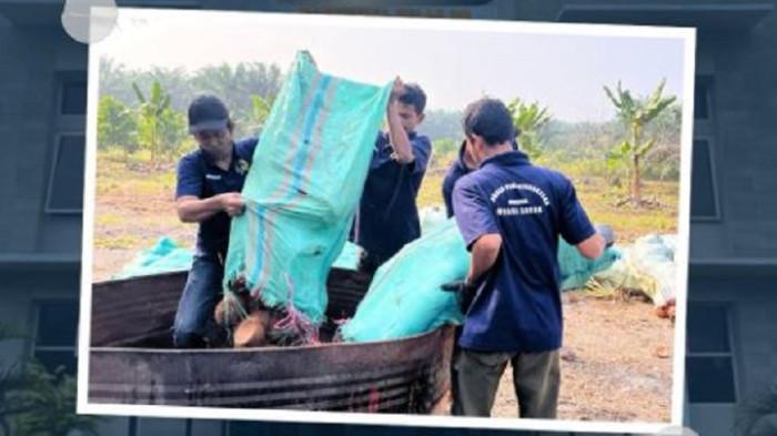 Arang hasil produksi warga binaan Lapas Khusus Narkotika (Lapastik) Kelas IIB Muara Sabak, Kabupaten Tanjung Jabung Timur (Tanjabtim), Jambi tembus pasar ekspor. Pada Senin (23/8/2026), Lapas Narkotika Kelas IIB Muara Sabak mengekspor 6,8 ton arang batok kelapa.