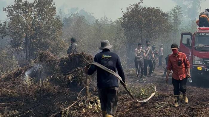 KARHUTLA MELUAS - Ilustrasi Karhutla di wilayah Kalimantan Utara yang diabadikan Dishut Kaltara dan Tim Lapangan. Karhutla meluas hingga 1.076 Ha,  
