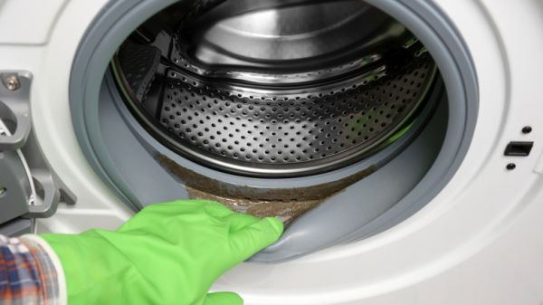 A person inspecting a dirty rubber gasket on a washing machine.