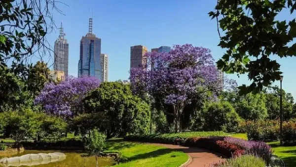 Royal Botanic Garden