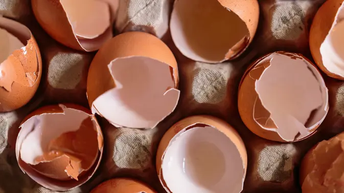 Cangkang Telur Ayam (Foto: Unsplash/Peter Werkman)