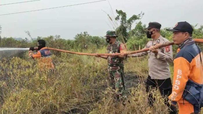 PADAMKAN API - Petugas Saat Mencoba Memadamkan Api Saat Terjadi Karhutla di OKI. 400 Hotspot Kepung OKI, Sekolah Berpotensi Diliburkan Jika Kabut Asap Makin Parah