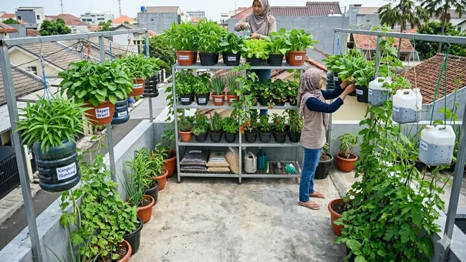 Kombinasi Pot Gantung & Tanaman Rambat di Tepi Atap. Foto: Gemini