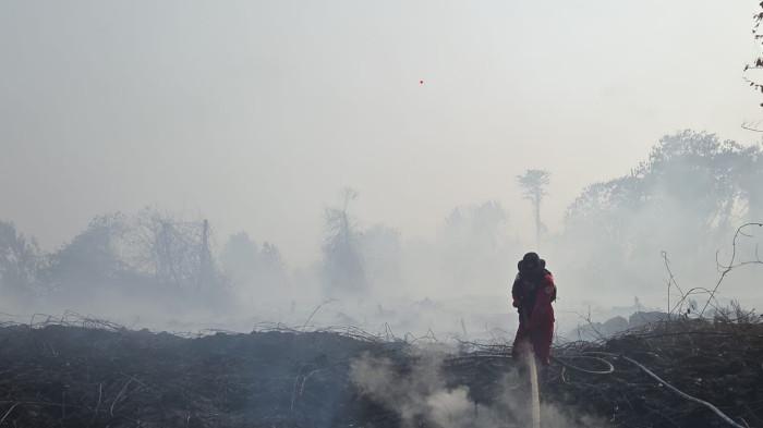 PEMADAMAN KARHUTLA  - Tim Manggala Agni Daops Sumatera XI Bukit Tempurung berjibaku melakukan pemadaman di lokasi Kabupaten Tanjung Jabung Timur hingga Jumat (28/8/2026) pagi. (Dok.Manggala Agni Daops Sumatera XI/BTP) adada