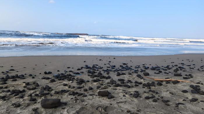 BATU BARA - Tumpahan Batu Bara di Pantai Sukaresik. Pasca-kapal tongkang menumpahkan batu bara di perairan Batukaras dan perairan Sukaresik Kabupaten Pangandaran Jawa Barat sebulan lalu