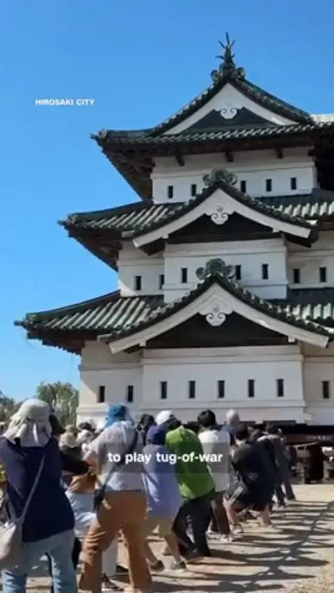 1.000 orang tarik Kastil Hirosaki ke posisi awal