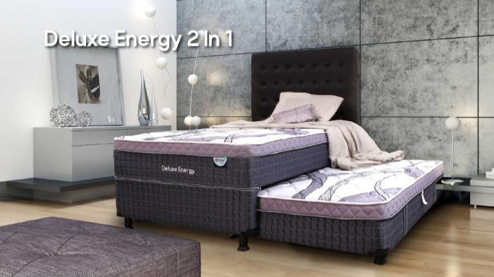 Deluxe Energy 2 In 1