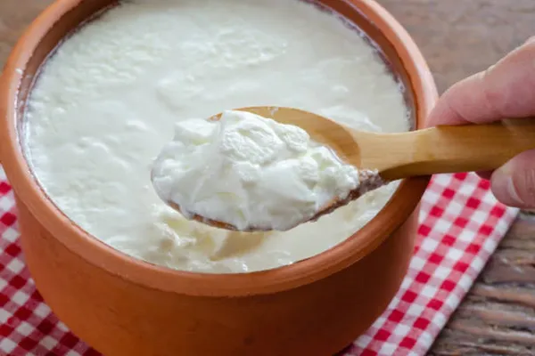 How to make thick and creamy curd at home