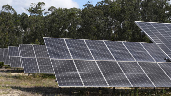 An array of solar panels shown against a forest backdrop