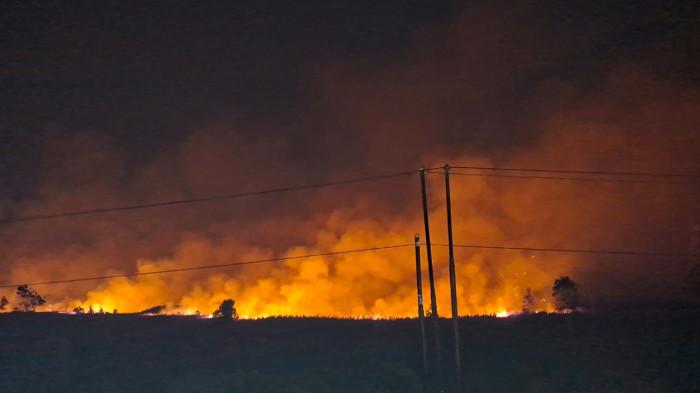 KEBAKARAN - Kebakaran melanda kawasan Tumbang Nusa, Pulang Pisau, Minggu (30/8/2026).