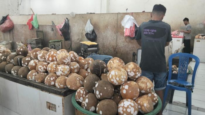 HARGA PASAR - Potret salah satu lapak milik salah seorang pedagang, Aigel, yang menjual kelapa di pasar Mardika Ambon, Sabtu (27/9/2025)