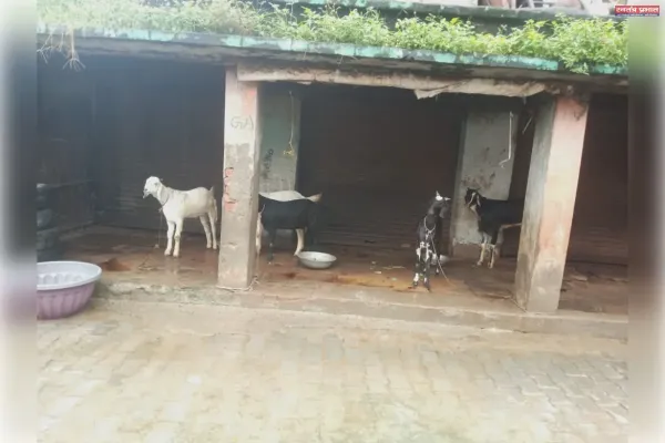 The game of alleged occupation of government property continues! The premises are surrounded by tires in the colony, even the public toilet is seized by the son-in-law.