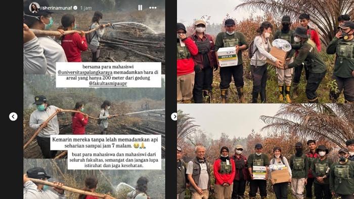 Sherina Munaf terjun ke lapangan melakukan rewetting (pembasahan) lahan gambu