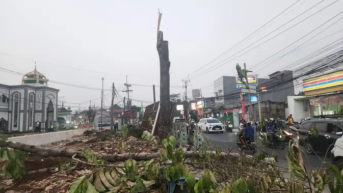Lokasi pekerja penebang pohon terjatuh pada proyek pelebaran Jalan Raya Cipayung, Depok (Liputan6.com/Dicky Agung Prihanto)