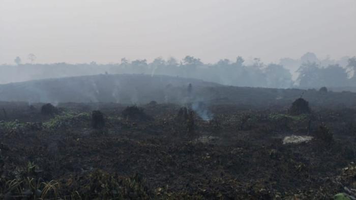 KARHUTLA-Karhutla yang membakar kawasan APL Desa Muara Sekalo, Kecamatan Sumay, Kabupaten Tebo, Rabu (2/9/2026). Karhutla berpotensi mengganggu habitat serta akses makanan dan sumber air gajah, namun BKSDA Jambi memastikan lima ekor gajah di PIKG dalam kondisi aman karena lokasi kebakaran berjarak sekitar tiga kilometer.