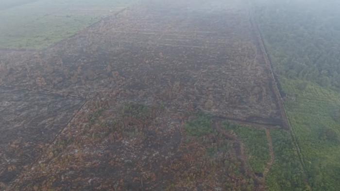 KARHUTLA-Karhutla di kawasan Hutan Lindung Gambut Londerang, Kecamatan Muara Sabak Barat, Kabupaten Tanjung Jabung Timur, berhasil dipadamkan pada Rabu (2/9/2026)