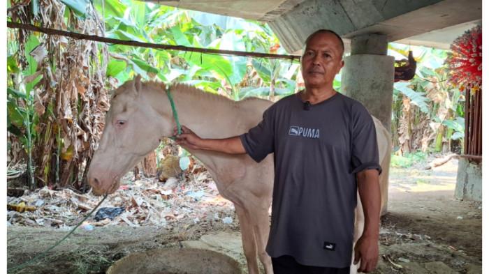 KUSIR DELMAN - Sutomo (53), kusir delman yang tinggal di kolong tol Sungai Bambu, Tanjung Priok, Jakarta Utara. (TRIBUNJAKARTA.COM/GERALD LEONARDO AGUSTINO).​