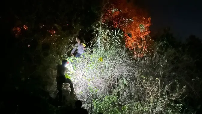 Kebakaran lahan melanda kawasan perbukitan di Pekon Parerejo, Kecamatan Gadingrejo, Kabupaten Pringsewu, Lampung. (Liputan6.com/Istimewa). Kebakaran lahan melanda kawasan perbukitan di Pekon Parerejo, Kecamatan Gadingrejo, Kabupaten Pringsewu, Lampung. (Liputan6.com/Istimewa).