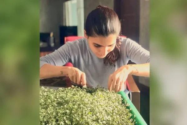 Samantha Ruth Prabhu's Simple 3 step Guide to Sowing Seeds at Home