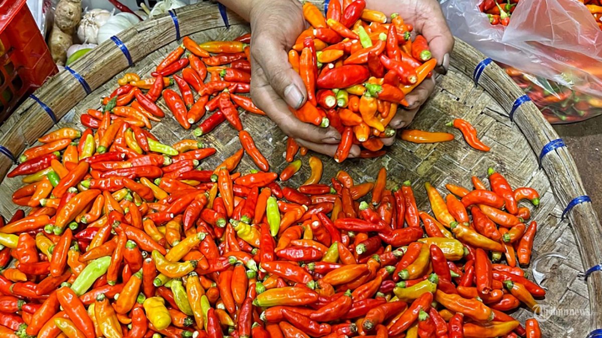 KENAIKAN HARGA - Pedagang cabai menjajakan dagangannya di Pasar Besar, Kota Malang, Jawa Timur, Kamis (12/2/2026). Jelang ramadan 2026 harga cabai di Pasar Besar Kota Malang naik dari Rp 50 ribu manjadi Rp 100 ribu per kilogram sejak dua minggu terakhir. SURYA/PURWANTO