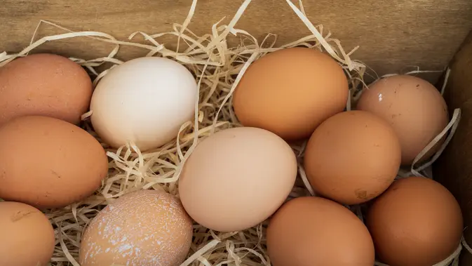 Ilustrasi telur ayam/credit: unsplash.com/nick