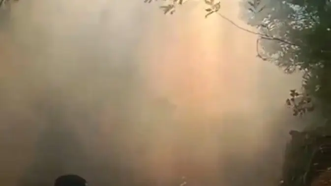 Kebakaran hutan di kawasan kawah Ijen. (Istimewa).