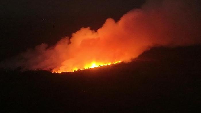 KARHUTLA - Api karhutla di kawasan Medang, Provinsi Sumatera Selatan, Rabu (26/8/2026). (Dok. Warga/HO)
