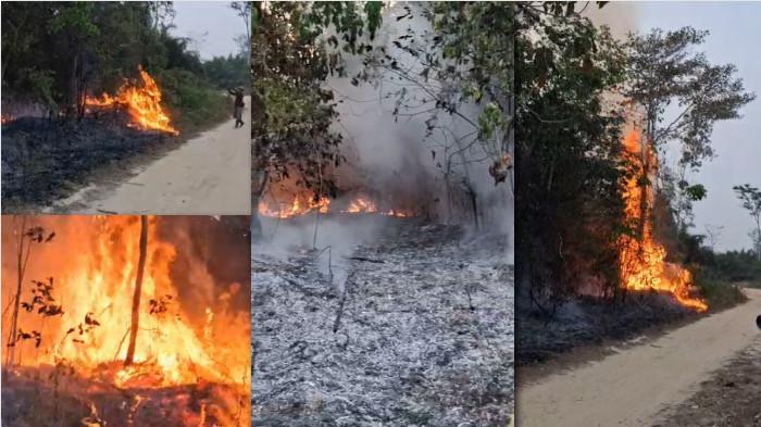 KARHUTLA - Api Karhutla di Jambi mengamuk di kawasan Kenali, Kota Jambi.