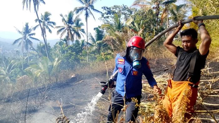 Kebakaran lahan terjadi di Kotamobagu, Sulut pada hari Senin, 7 September 2026