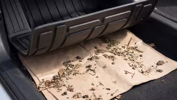 PC: AI Generated Keeps dirt away from the carpet