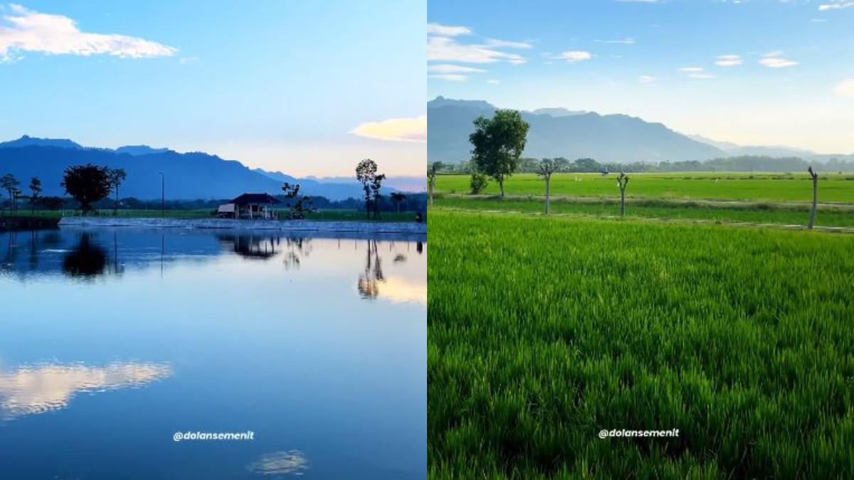 WISATA KLATEN - Pesona Embung Jonggo Cawas, Klaten.