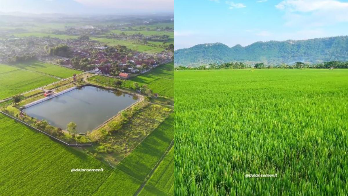 WISATA KLATEN - Pesona Embung Jonggo Cawas, Klaten.