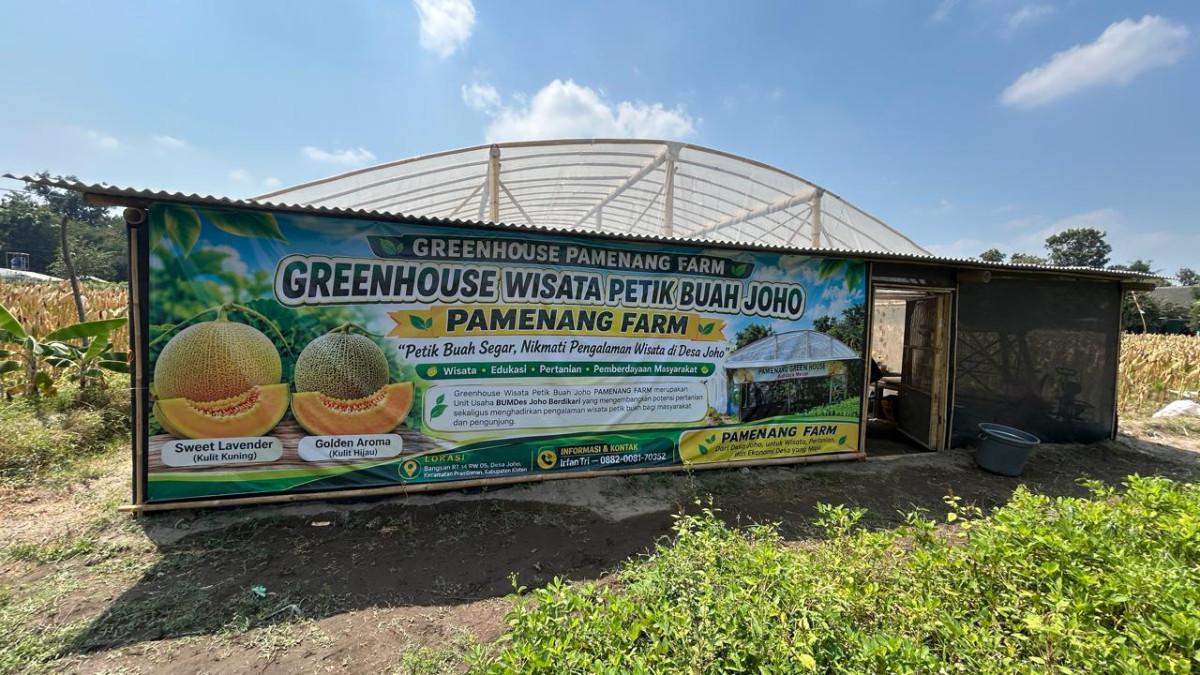 POTENSI DESA JOHO - Greenhouse Pamenang Farm di Desa Joho, Kecamatan Prambanan, Klaten, menjadi unit usaha pertanian BUMDes Joho Berdikari, Kamis (3/9/2026).