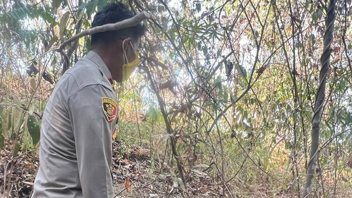 EVAKUASI KORBAN - Aparat Polsek Bolangitang saat mengevakuasi jasad pria yang ditemukan tak bernyawa di kawasan perkebunan di Desa Mokoditek Satu, Kecamatan Bolangitang Timur, Kabupaten Bolaang Mongondow Utara (Boltara), Provinsi Sulawesi Utara (Sulut) pada Selasa (08/09/2026) siang. Diketahui, identitas jasad/korban bernama Androl Ramenaung (48), jenis kelamin laki-laki, warga Desa Mokoditek I.